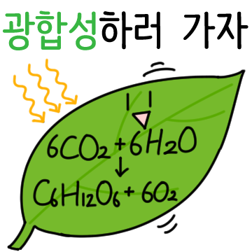케미프렌즈