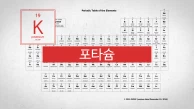 생리작용의 열쇠. 원자번호 19번, 포타슘(K)