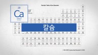 뼈와 치아의 성분. 원자번호 20번, 칼슘(Ca)