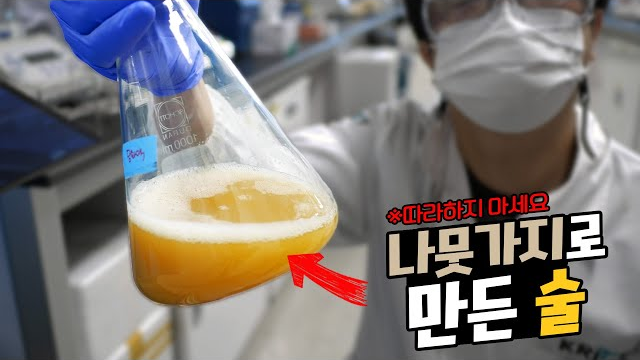 나뭇가지로 진짜 술을 만들어 먹어봤습니다ㅋㅋㅋㅋㅋ