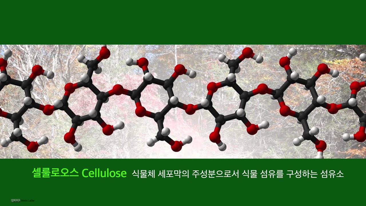 [연구성과] 바이오화학(한국화학연구원, KRICT)